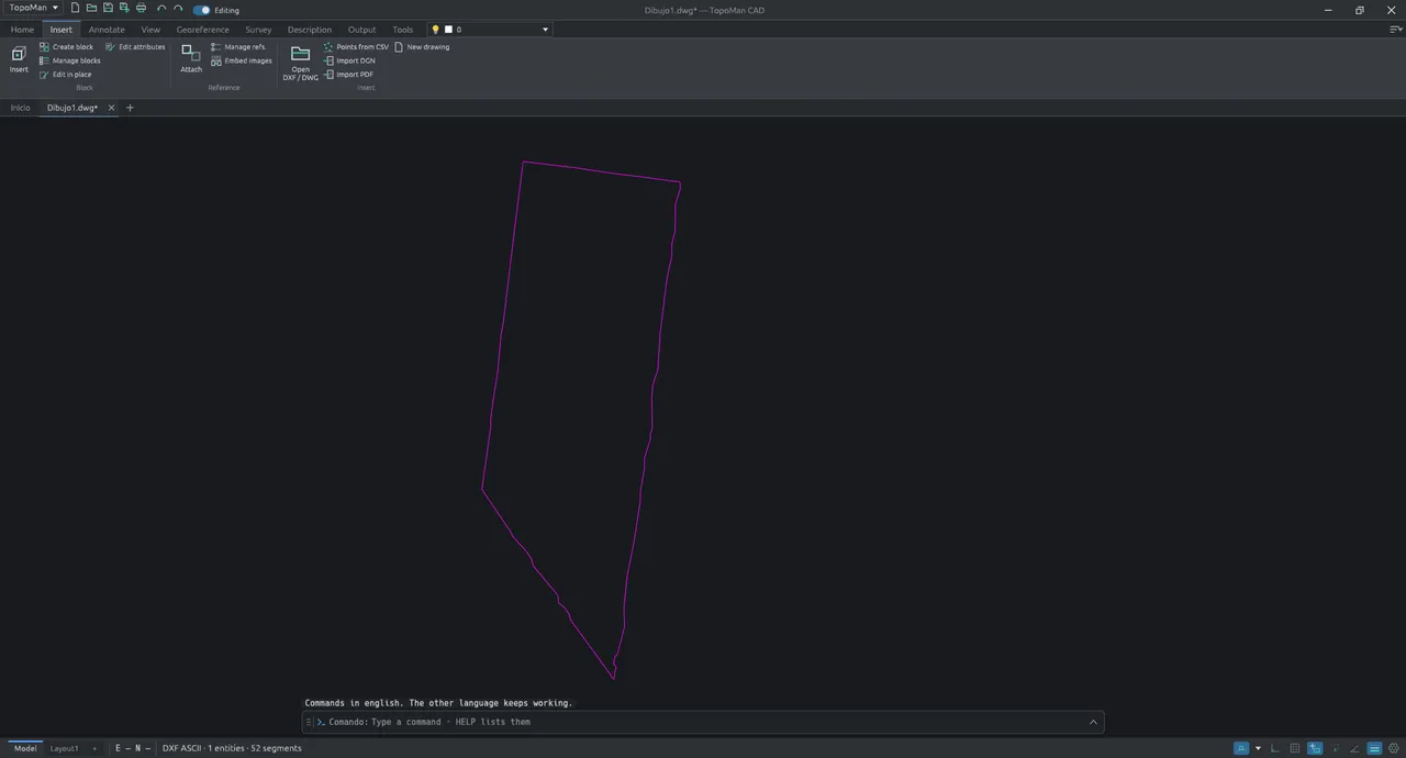 The Insert tab, with blocks, external references, open DXF/DWG, points from CSV and DGN and PDF import