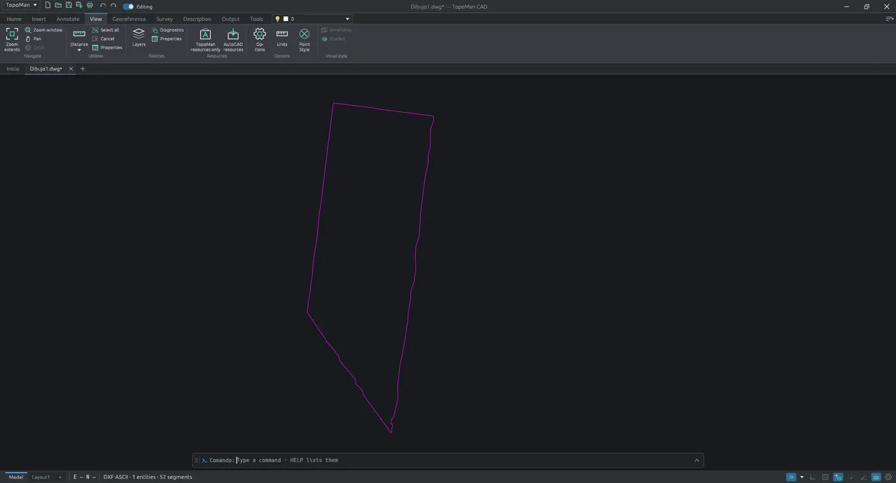 The View tab, with zoom, pan, palettes, the TopoMan or AutoCAD resources switch, settings, units and point style